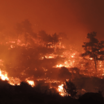 2-2-2-Embers-burning-slope-photo-DimitrisPsaltakis-2016-web.png