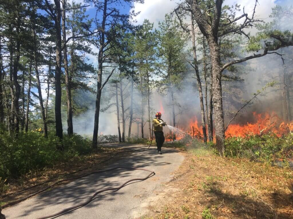 Montague fire International Association of Wildland Fire