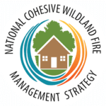 Cohesvie Strategy logo header.png