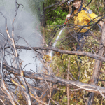 Hill-Me and Hose Tassie 2019 web.png