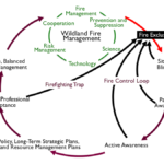 Issue Paper Suppression Zimmerman_Fire_Efficiency_Dynamics.png