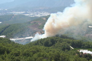 Lead photo or cover - fire threatening greenhouses-IMG_6231.JPG