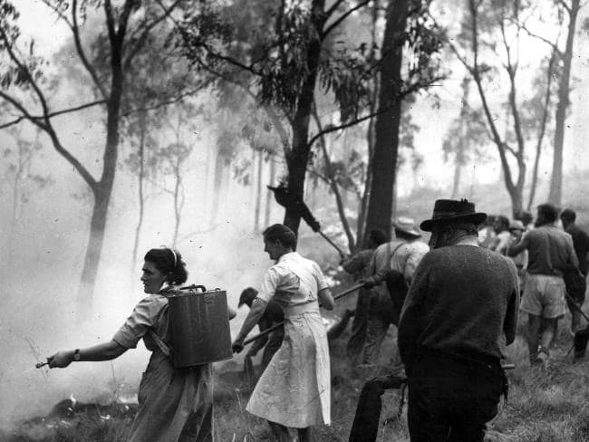 1962_bushfires_-_Melbourne_Sun_Newspaper.jpg