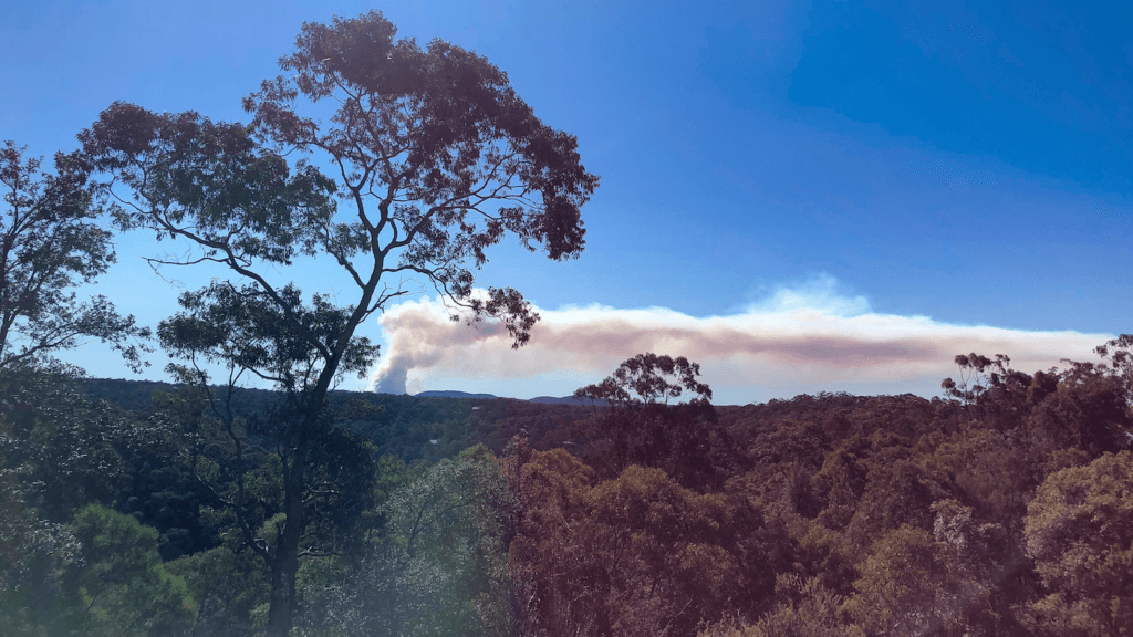 The view from home: Bowen Mountain, Australian forest and prescribed burn, circa 2019. PHOTO: Hamish Clarke.