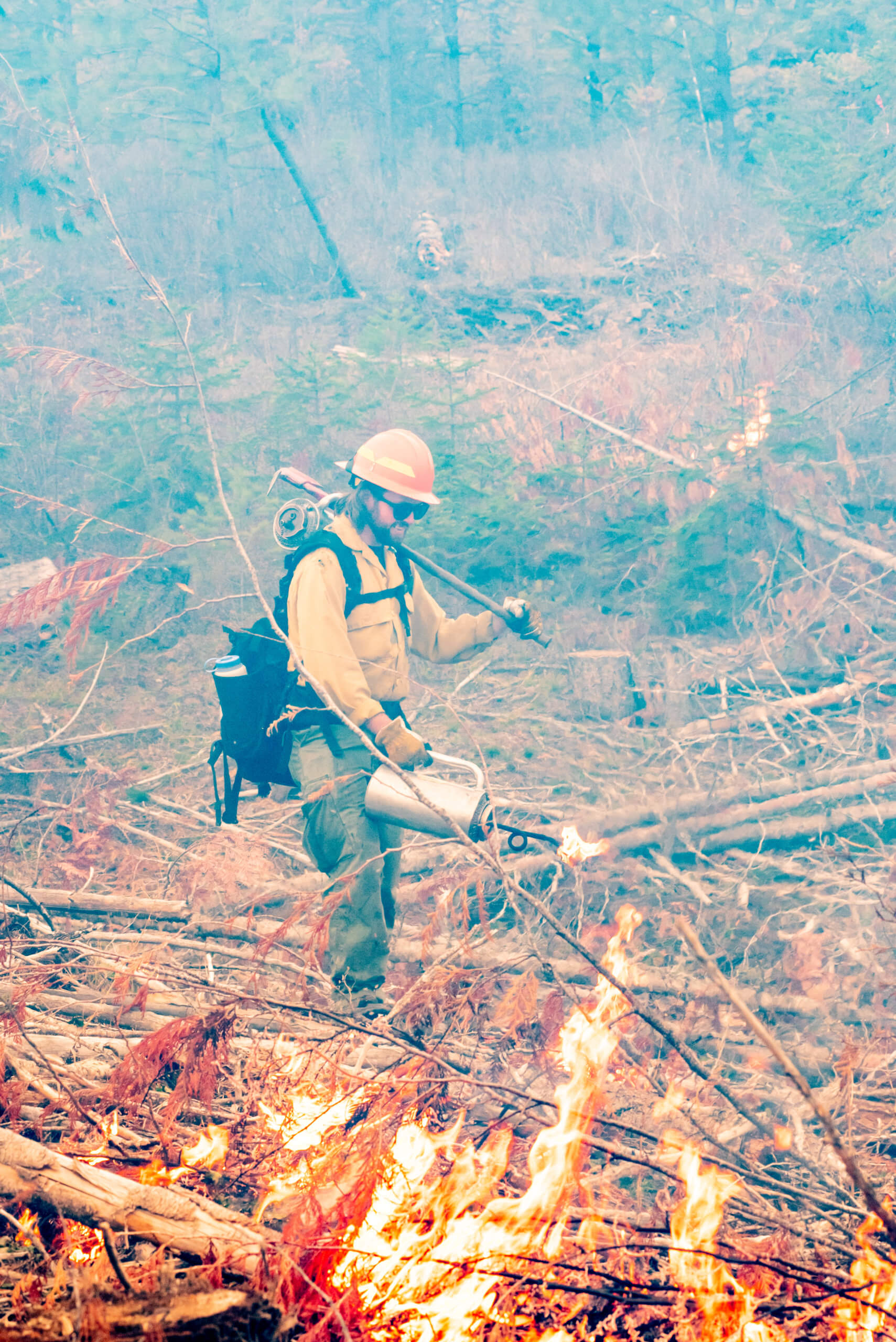 University of Idaho Experimental Forest College of Natural Resources
