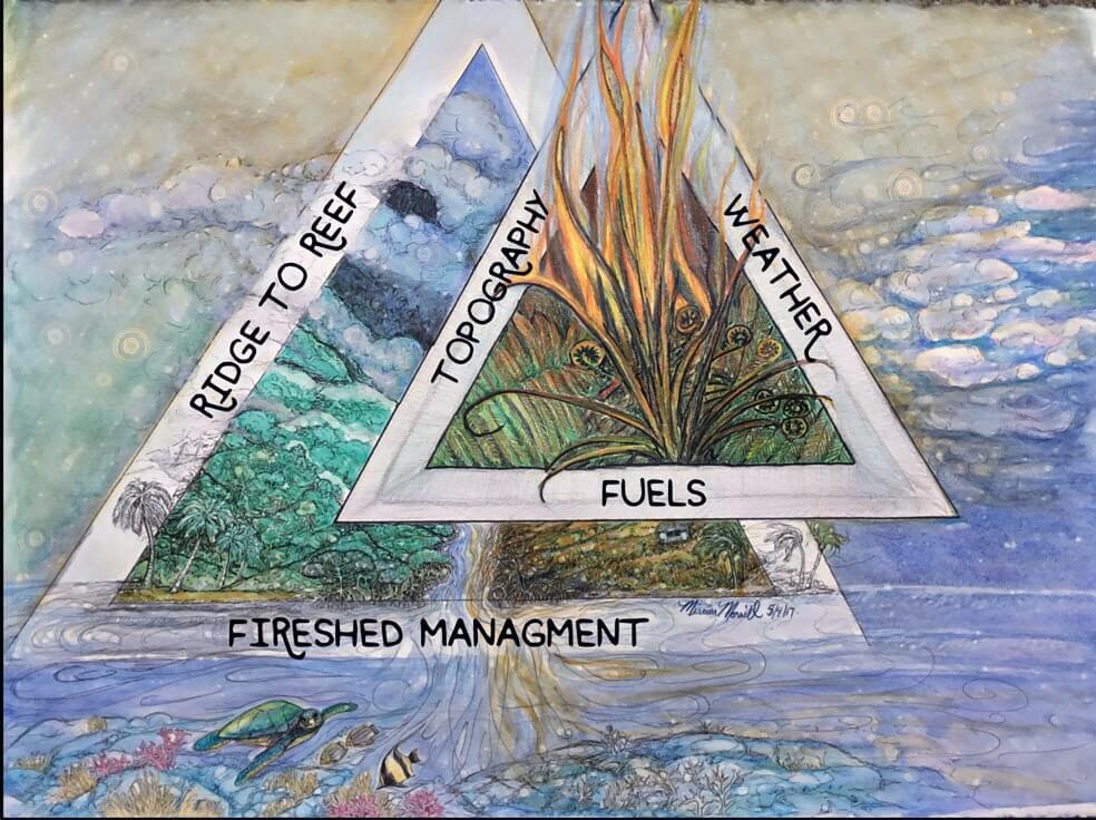 Create local fire behavior and fuel models with visuals that resonate with the local area