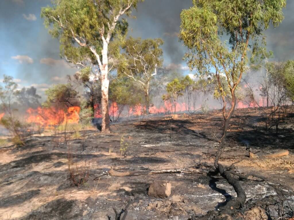 Self-acquired funds from the system go far to support Indigenous rangers to develop and improve skills so they can continue improving fire management across the north.  Photo courtesy Waanyi Garawa Rangers (Jimmy Morrison), author provided