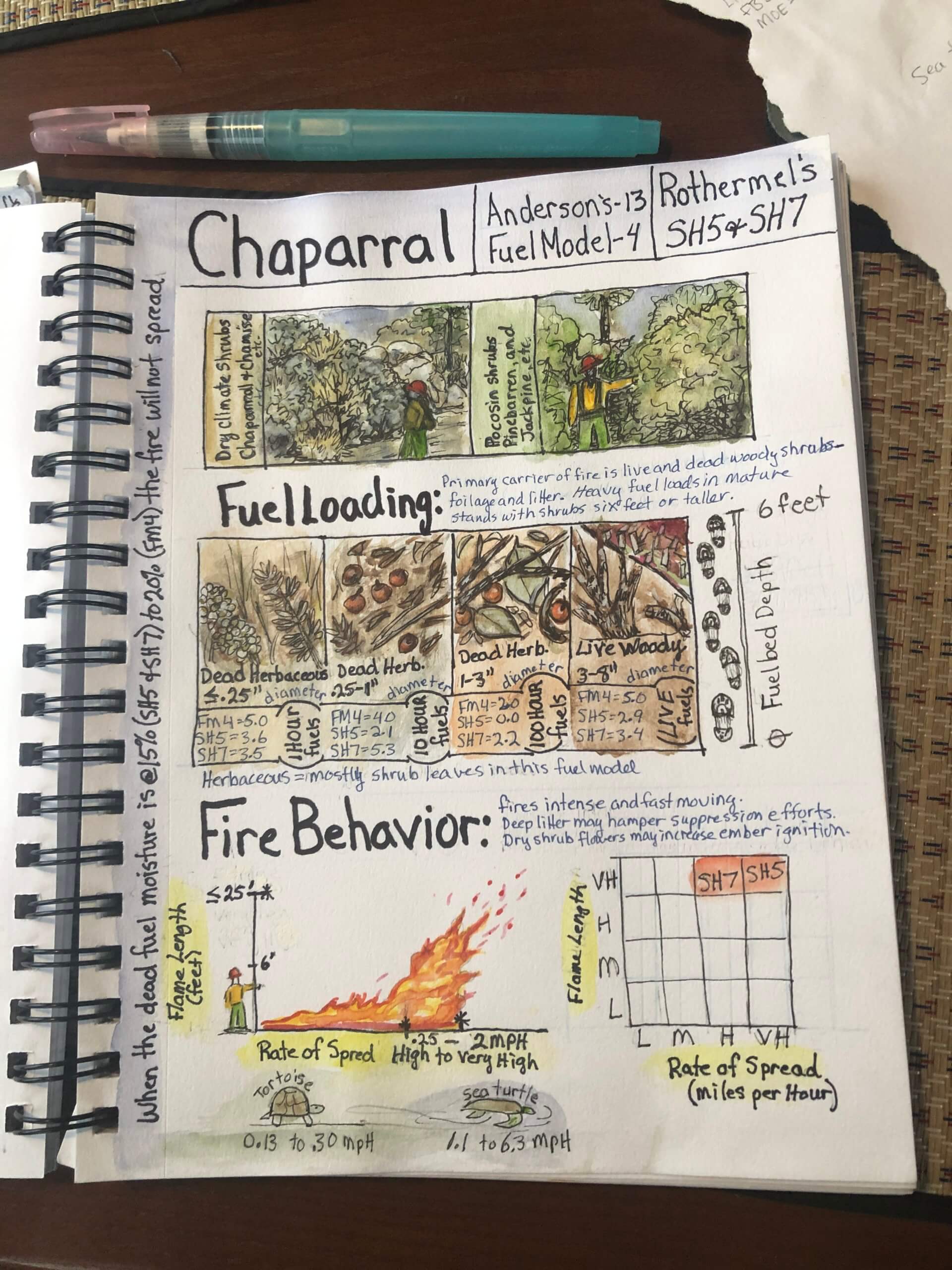 Reference fuel model guides and create your own visual version with local vegetation; use as a reference for potential fire behavior associated with various local vegetation types.