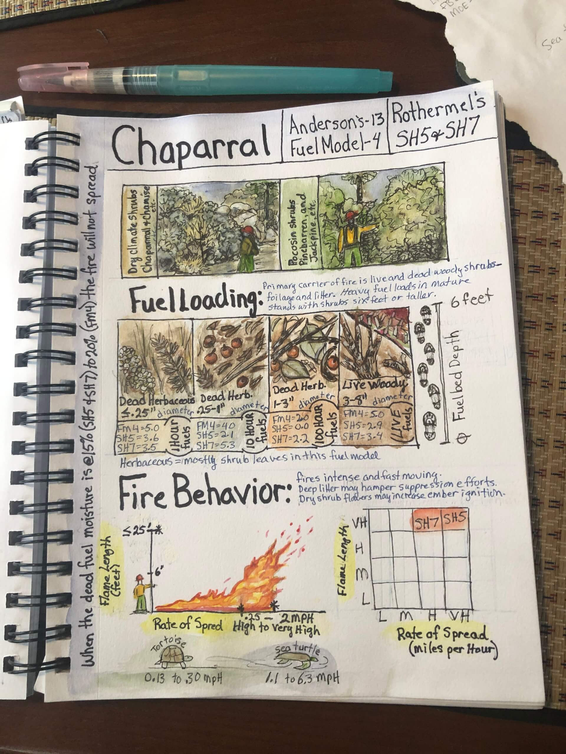 Reference fuel model guides and create your own visual version with local vegetation; use as a reference for potential fire behavior associated with various local vegetation types.