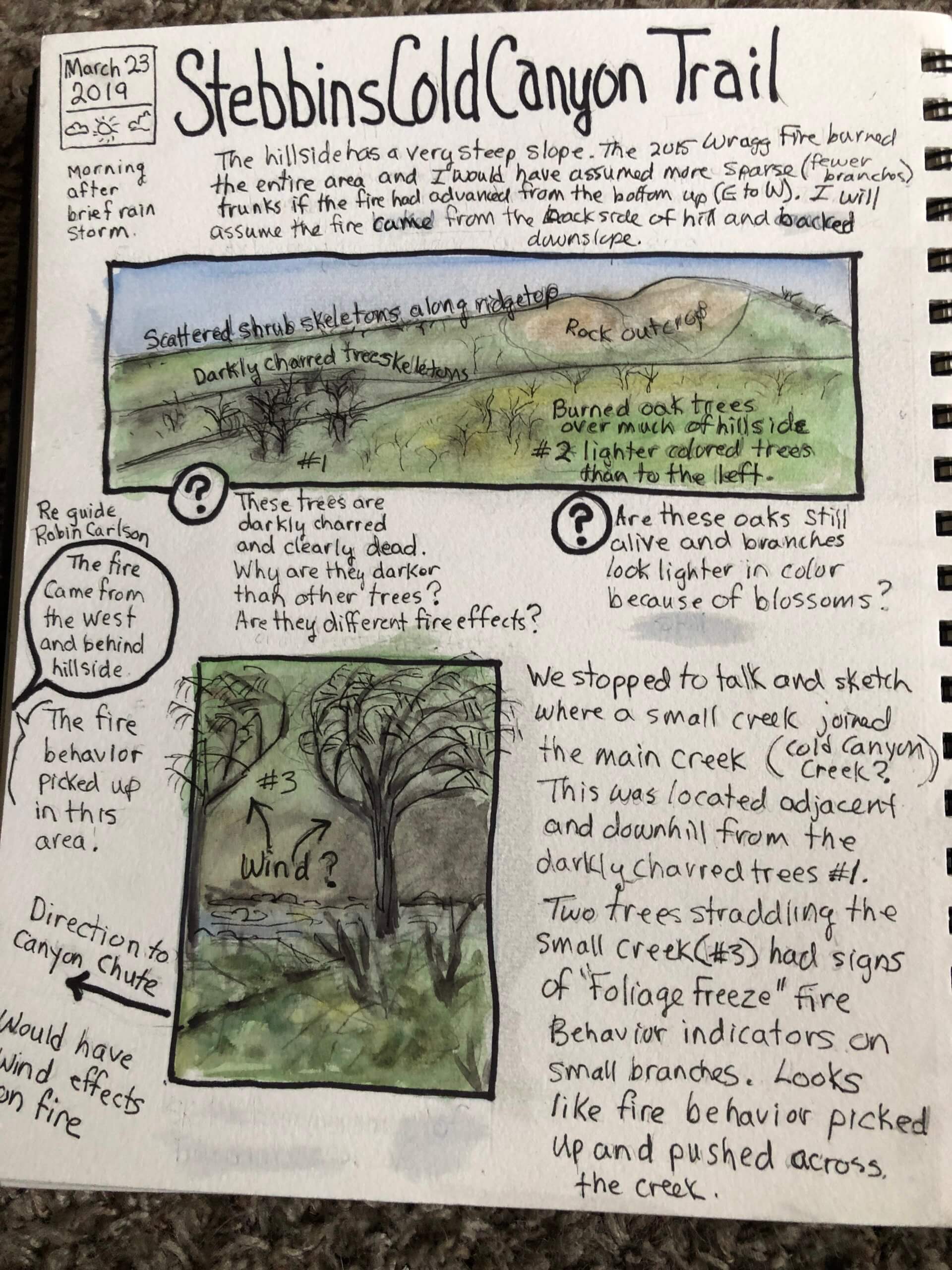 It is powerful to observe and journal about vegetation changes over time.