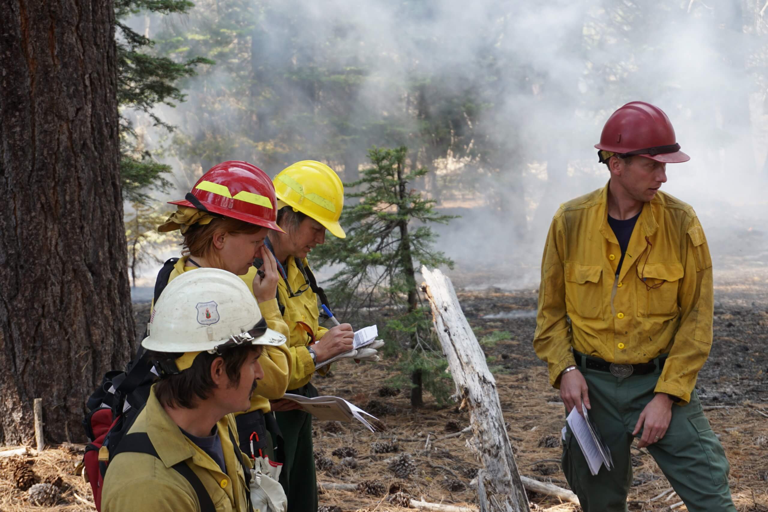 Q4 21 decisions1 international association of wildland fire