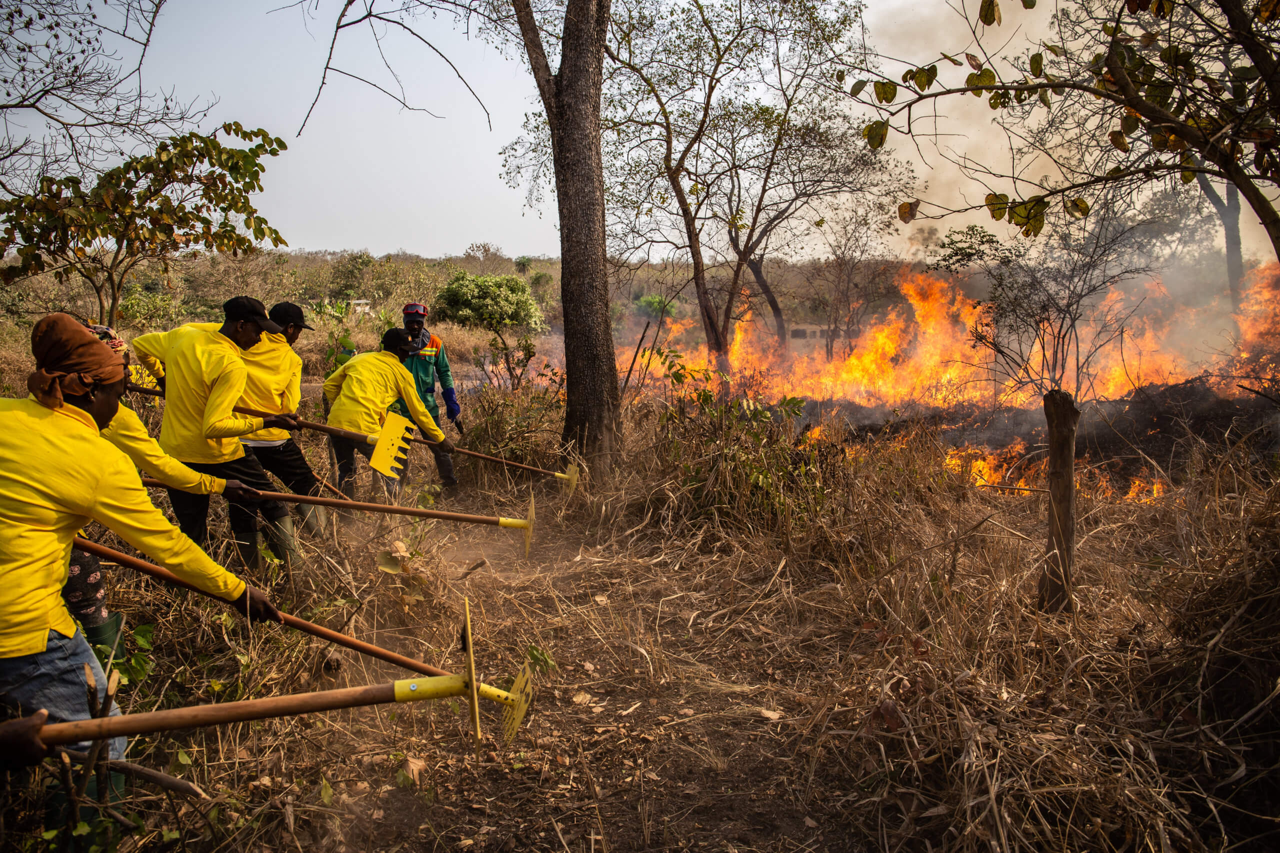 Q1 22 ghana photo5 international association of wildland fire