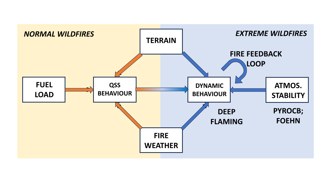 Fire Feedback Loop New Strategy Needed for Extreme Wildfires - International Association ...